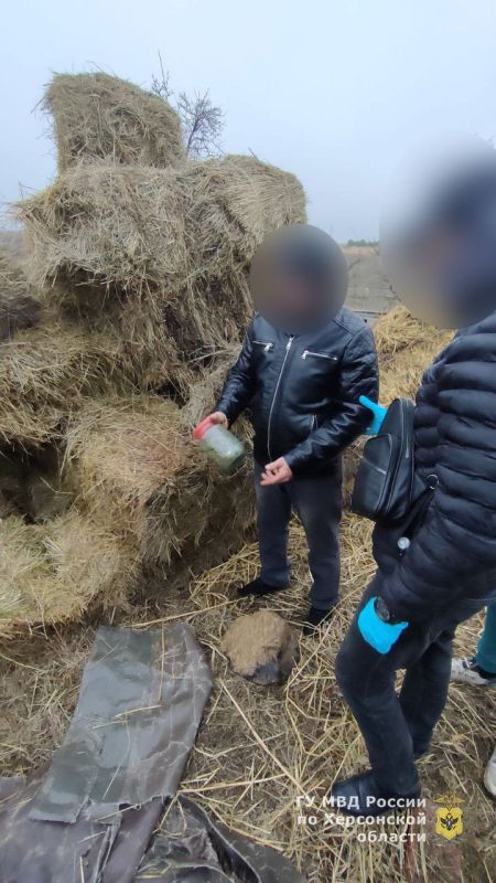 � ���������� ������ ����������� ������ ��������� � �������� ������