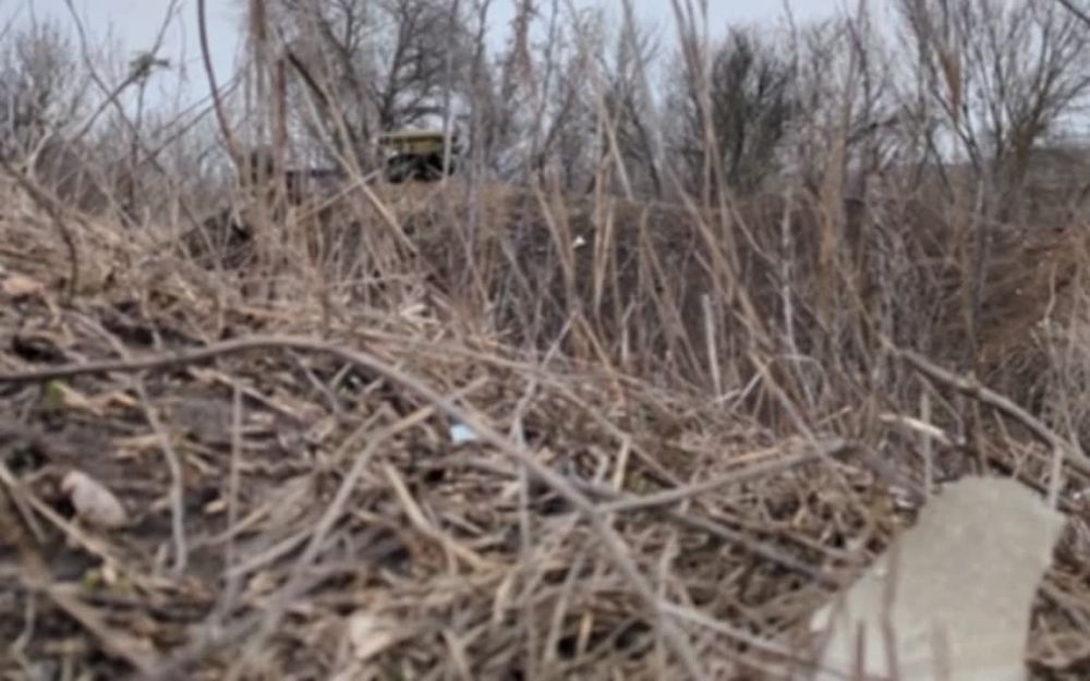 ������-�1� � ���. ��������������: