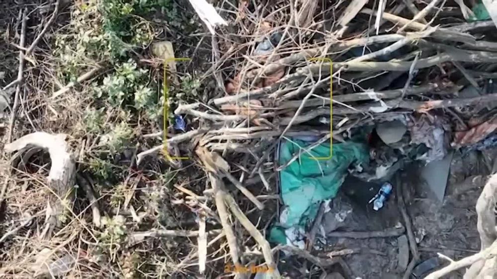 ������ ����� �� ������ ����������� ����������������, �� � ���� ����� ������ �� ������� ����������