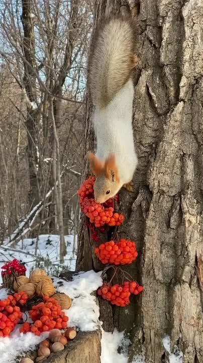 � ������ ����� �����������!