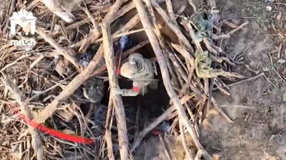 ����� ���������� �� ���������