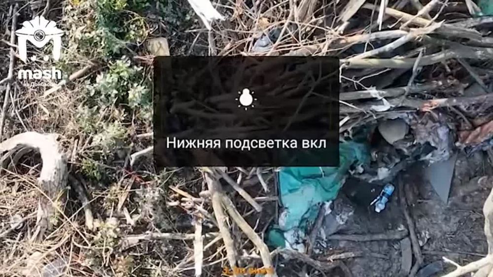 �������� ��� �� ������ ������? � ����� ���� � ������������ �������� ����� ����������� �� ��������� �������������� � ����������