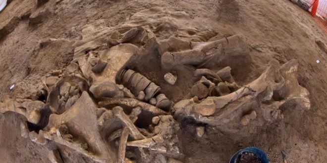 ����� ����������� �������� ��������� � �������� ��� ����� � ������