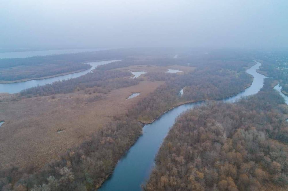 ���������� ������ �� �������