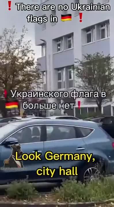 � ������� �������� ������ ������� ����� �������, ����������� ����� � ���������������� ������