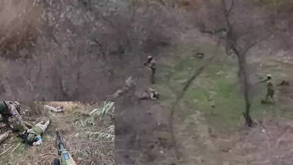 �������� ������: ���� ���������� ������ �������� �� ����� ����� ������ � ����� ������ � ���� � ����� ������