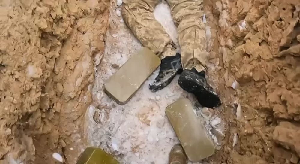 ��� �������� �***� �����,�� ������� ����