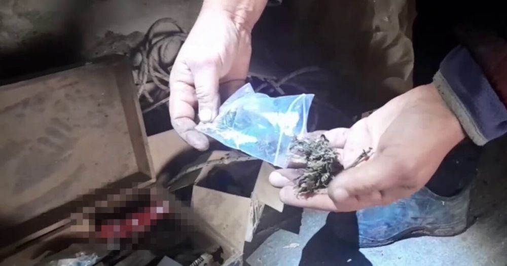 ��������� �� ����������� ������ ������ ���� � ���������� � ������