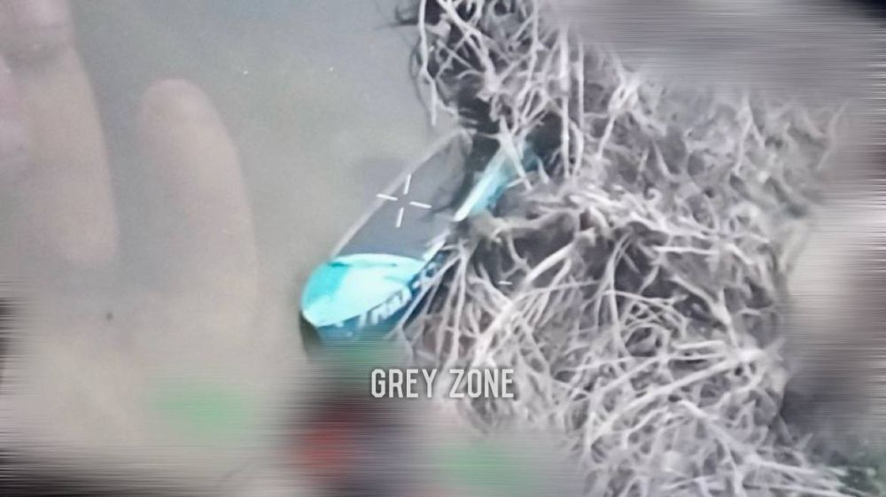 ����� �����: ��������� ������ �� �������������� ����������� ���������� �������� ������� ������������ ���������� � ������������� ��������������� ����� �� ������ �� ���������� �����������