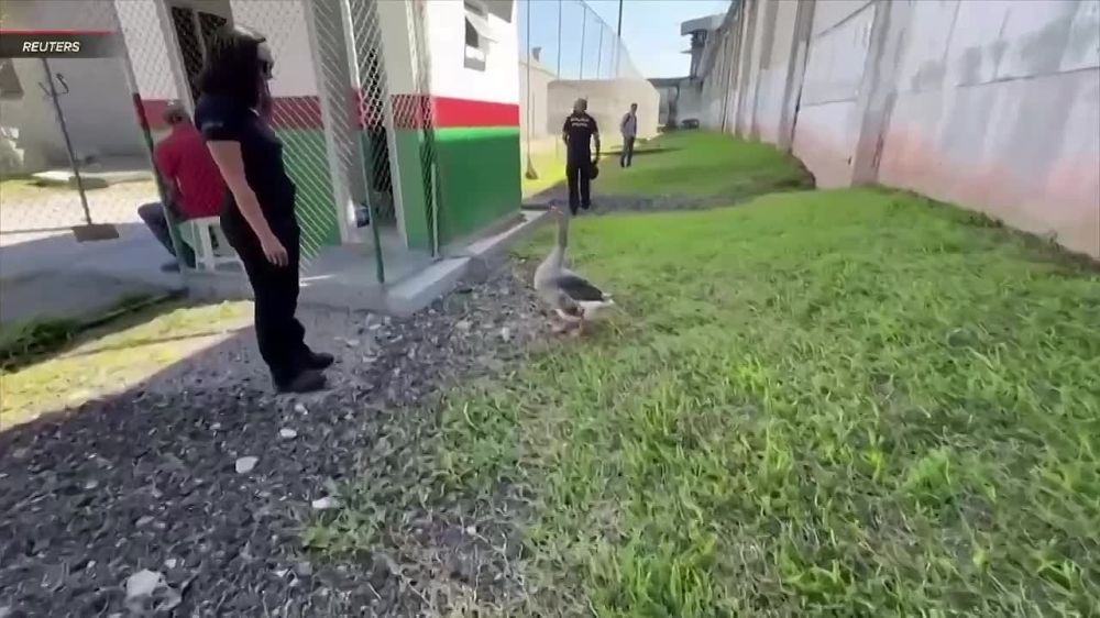 � ����������� ������ ���������� ����� �������� �� �����, ������ ��� ��� ���� ����� ��������� �� ��� � ������ ��������� �������, � ��� ���� ������� ���������