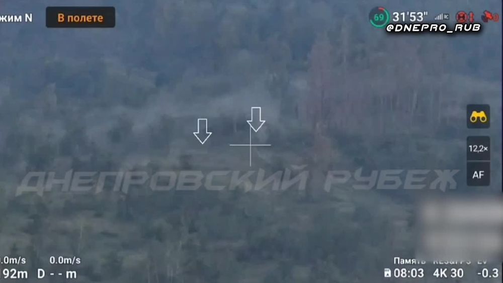 ����������� ����� "�����". ���������� �����������