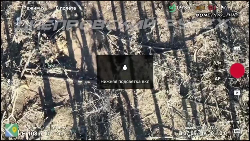 ����� �����: ����������� ����� "�����". ���������� �����������