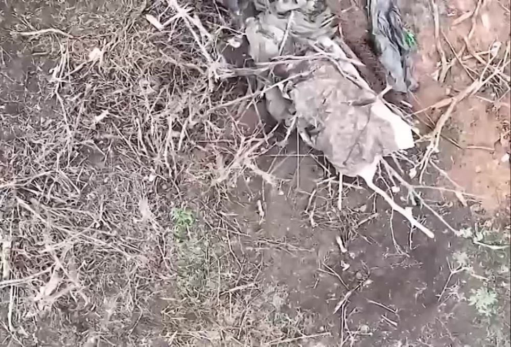 �� ����� ������ �� ����������, ����� ��������� ������� ����������� �������!