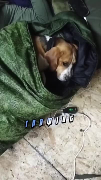 ���� �� �������: ��� ���� - ������ ����. ���� �� � ��� ���� �� ����������, ����� ��������� �������� ������. ���� ������� ��������, ������ ����� �������� ��� ��, ��� ��� ����� ����� ����� ������