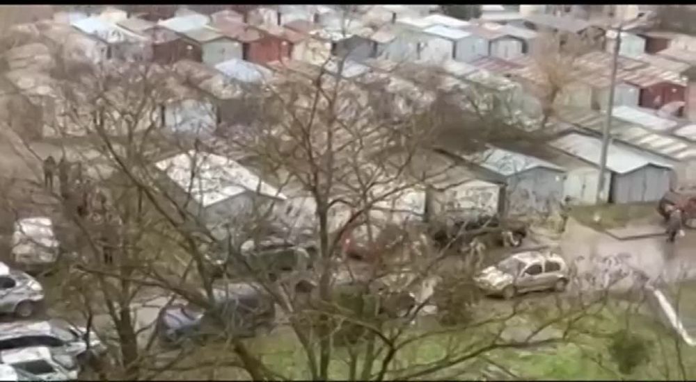 �� ������� ������������ �������� �����������