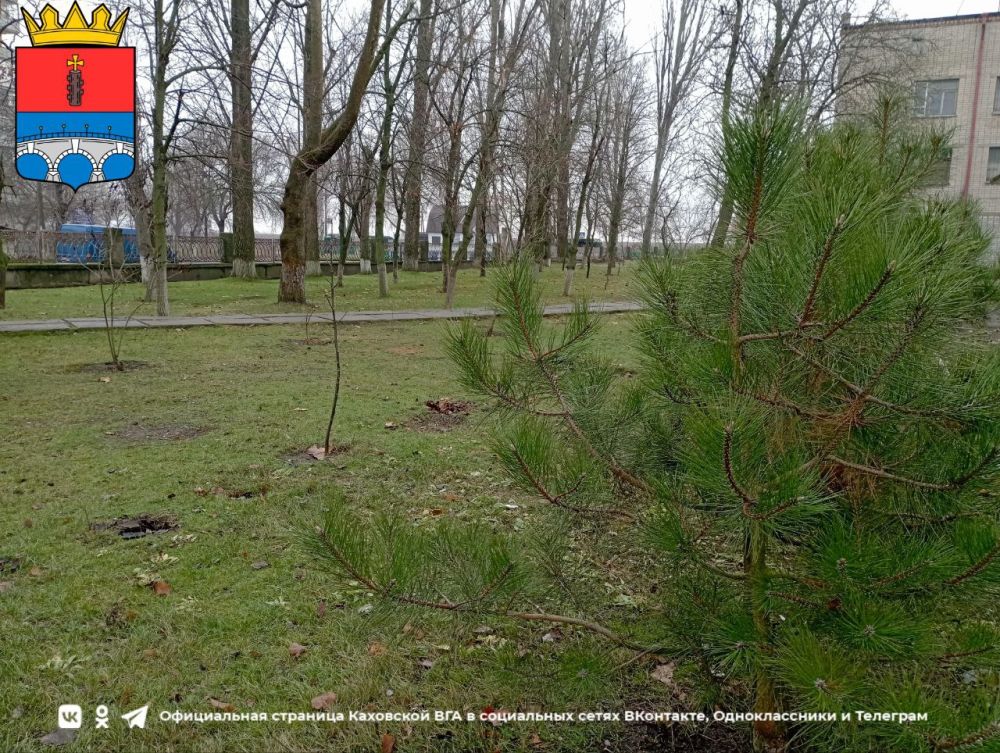 ������ ����, �������!. @VGA_Kakhovka