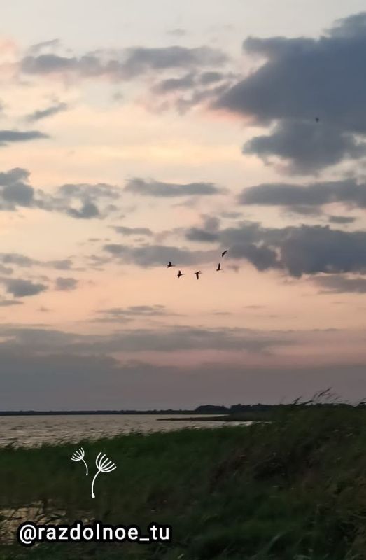 ����������. ������ ����������� ��������, ��������� ���� � ������� ���������� ��������� ��������� ���! ������ ���� ���� ����� �������� ������� �����������