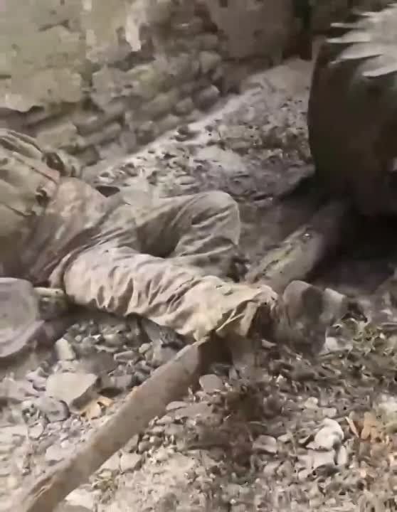 ���� �������������� ��������� ���� ������ �� 5+. ������� ������� ����� �� �������, ����� ������ ������� - ������� ������� ������� ���� �� ������ ����� ����������: �������������� ��� � ��� ���� ����������� �������� �� �������