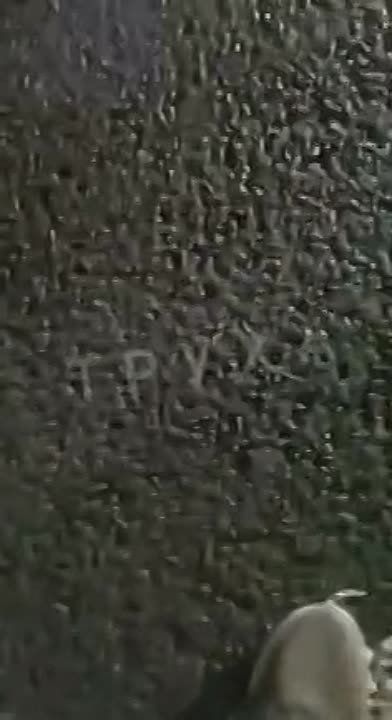 �� ������� � �������� ����� �������� ���������, ��-�������, ��� �������