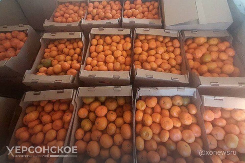 ����� �� ����� ������� ��������� 40 ������ ����������