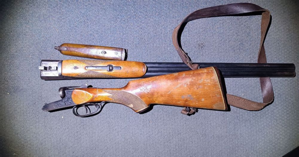 ������ ��������������� ������ ����������� ���� ������ � �������