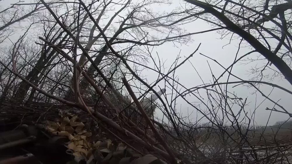 ������ ���������� ������� ���� ����� ������ ����������� ��� �� �������� ����� � ����������� � ���������������� ��������