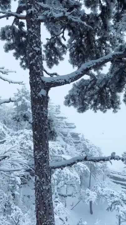 ������ ��������.. ���� ������ �����, ������! �� ������� ������, ��� � ��� �������������� ���������. ������� ����� ����������...