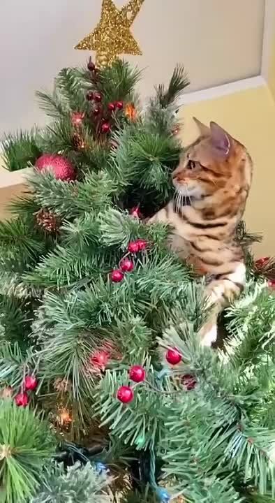 � ������ �����, �����������!