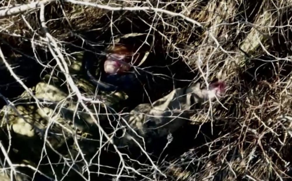 ������: ���������� ������� ������ ��������� ������ ������� ���������� ��������������