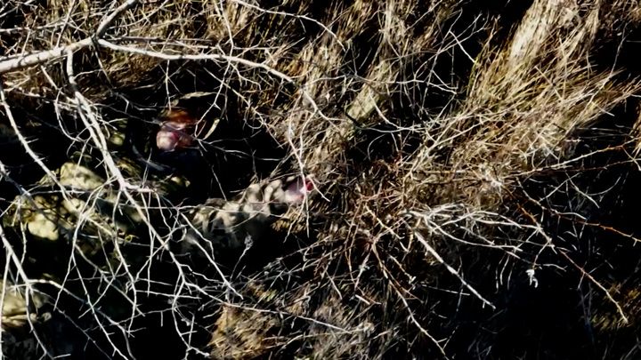 ���������� ����� ������ ��������, ��������� ��������� ��� �� ���� ���