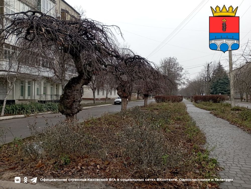 ������ ����, �������!. @VGA_Kakhovka