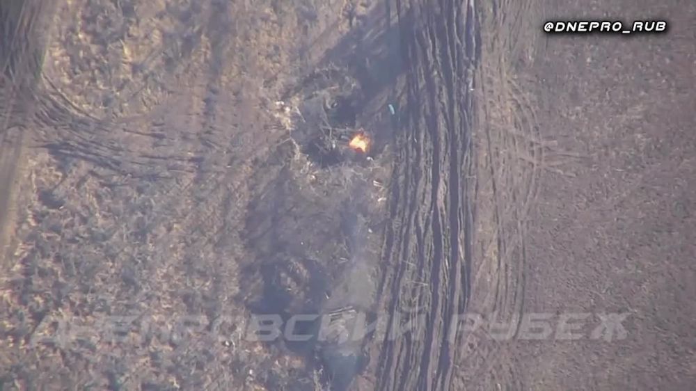 ����������� ����� "�����". ���������� �����������