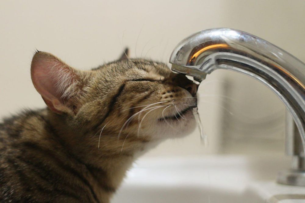 ��������� ������ �����������!