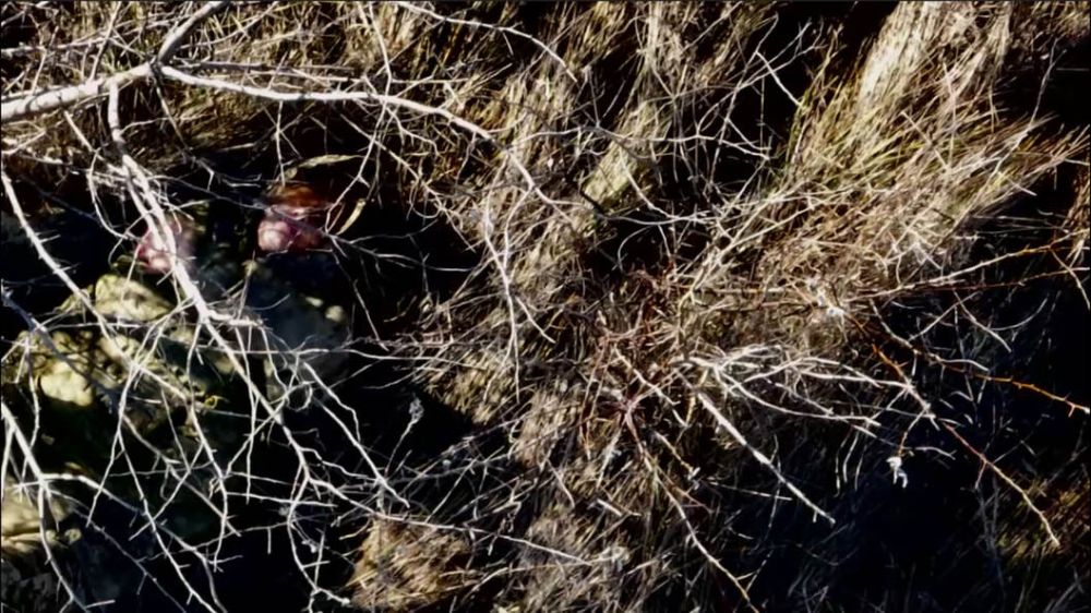 ������� ����� ������ ���������� �������������� ��� ��������