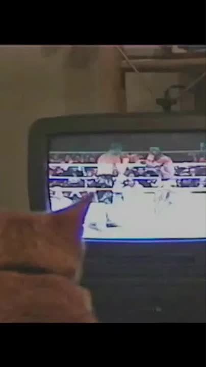 ����� ��� 24 ������� ��� ������ ����������� ��- ������� ������� �������� ������ ���