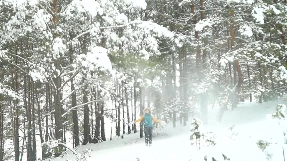 ���� ������� ������, ������! ������� ������ ��� ����.