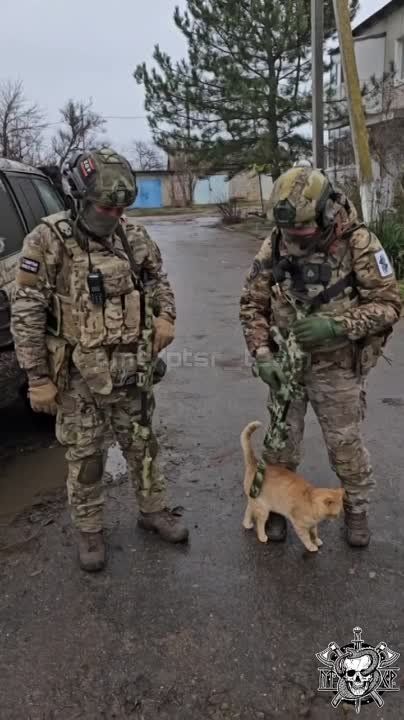 ������ ��� � �����. �� ���������� �����: