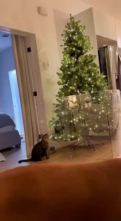 ����... �����...������ ������