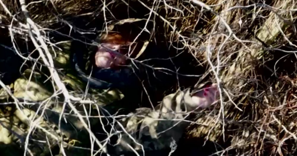 ���������� ������ ������ ��������� ������ �������� �������������� ���