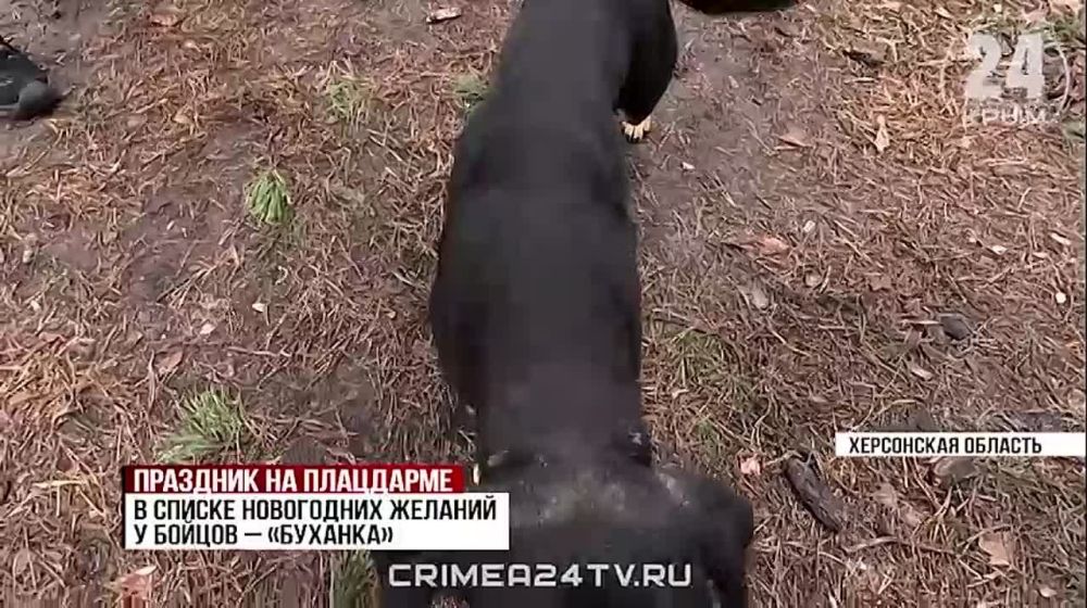 �������� � ���������: ��� �������� ��������� ��������� � ������ ���� �� ����� ���������������