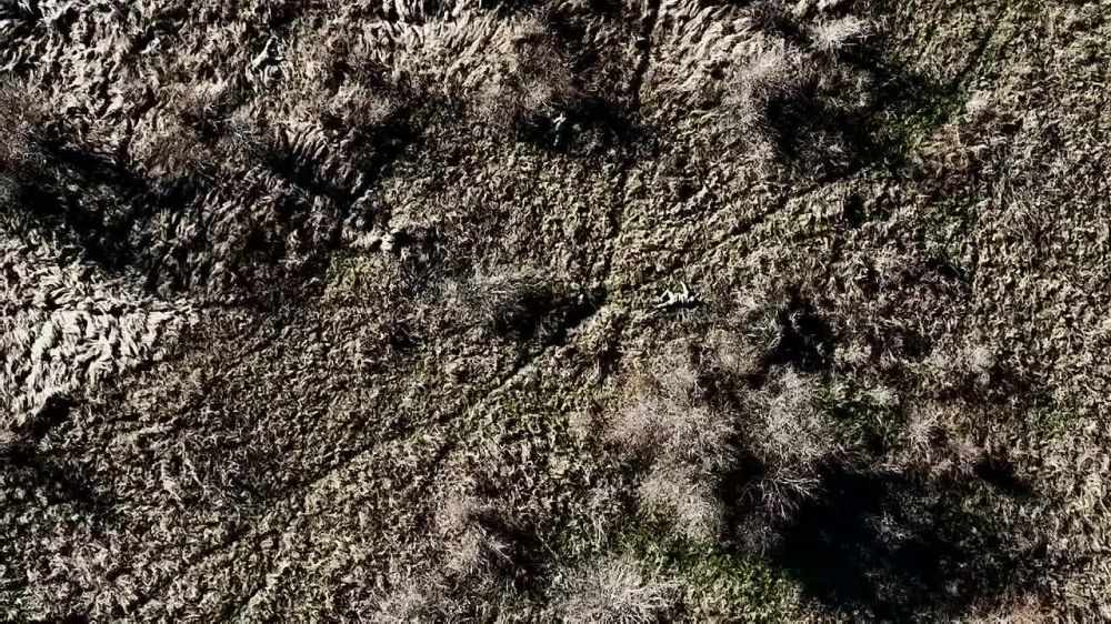 ����� ������ � ���������� �������