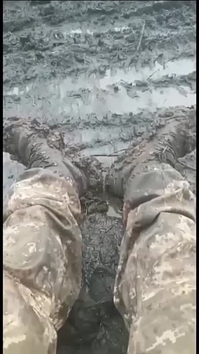 ������ � ���������� ����