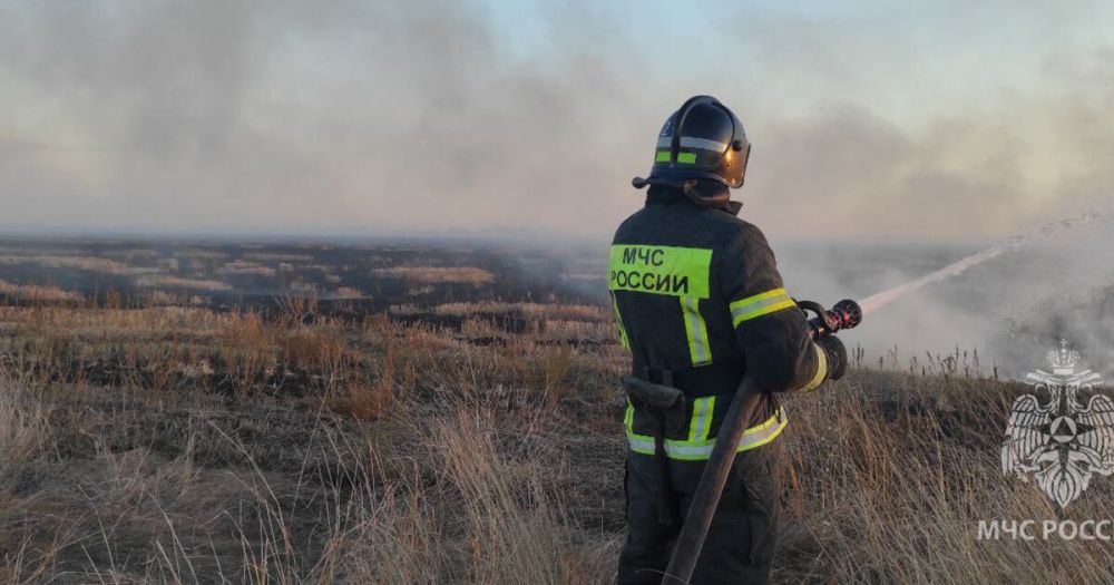 �� ����� ��������� � ���������� ������� ������������� 40 ���������