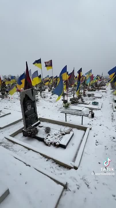 ������������ ������������ ����� � �������� ��������, ��� ���������� ���������������� � ��������