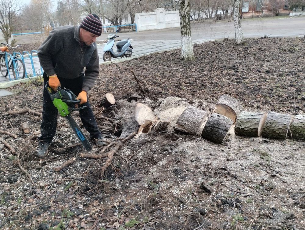 � ���������� ������ ������������ ������ �� ��������������� ������������ ����������