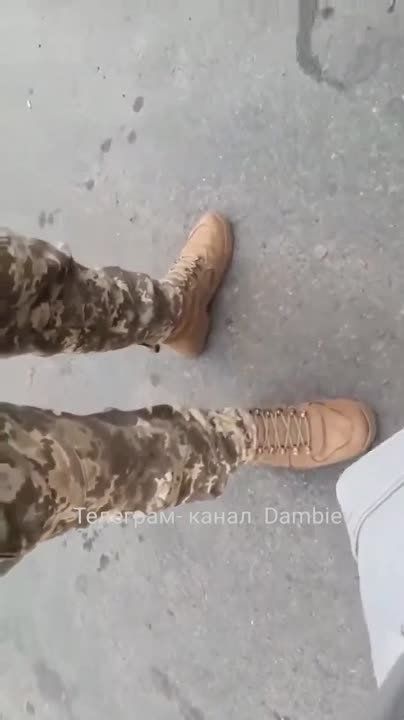 �������� �������� �� ����� ������ �� �������� �������� � �������� ������� � ����� �������� �������, ��� ������� ��� ������