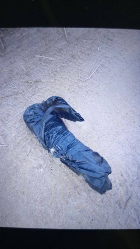 ��� ������: ���������� �����������. ���� ����� �� ������ ����������� �������� ���������. ������ �� ����� ���������� (�������������- ������������� ������������ � 25 ������)