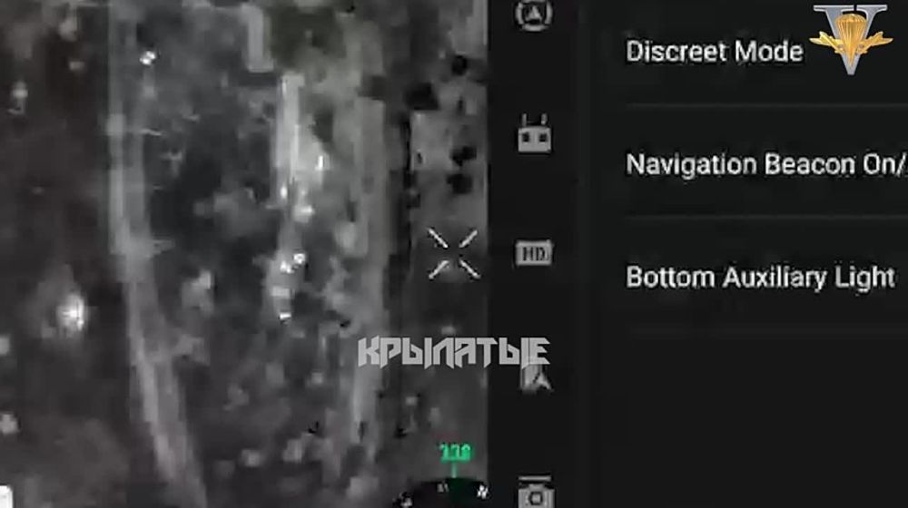 ���������� �����������, �.�. ������