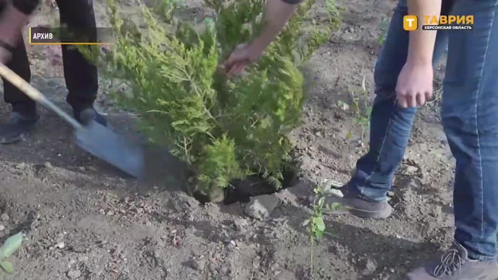 ���������� ������ ������� ����� ����� ������ � ���������� ������