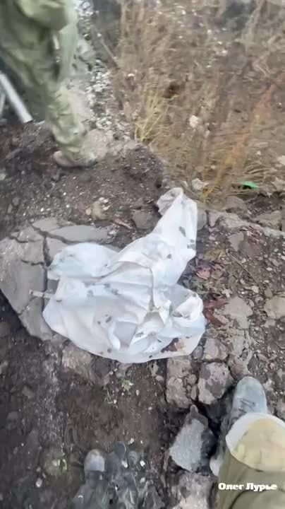 ���������������� ����������� Fennek KMW ���� �������� ��� ��������� � ���� ����